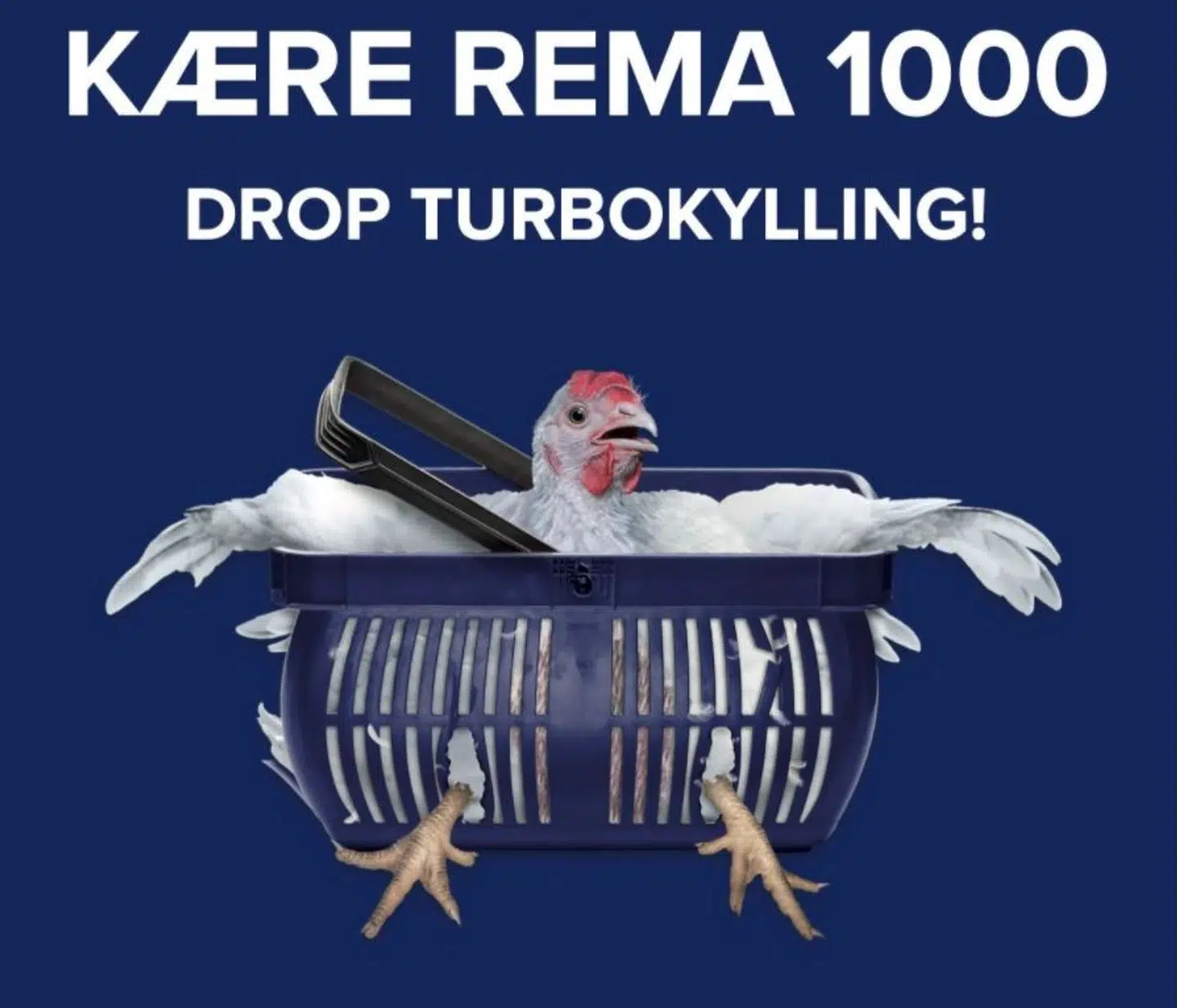 Den øverste del af Animas reklamekampagne mod Rema 1000.