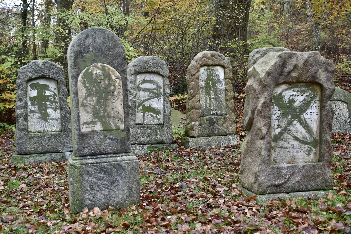 84 jødiske gravsten blev overhældt med grøn maling på årsdagen for Krystalnatten - den dag i 1938, da tusindvis af jødiske forretninger blev smadret, og jødiske synagoger blev stukket i brand i Tyskland. Nu er det retlige efterspil i gang ved Retten i Randers. (Arkivfoto) Bo Amstrup/Ritzau Scanpix