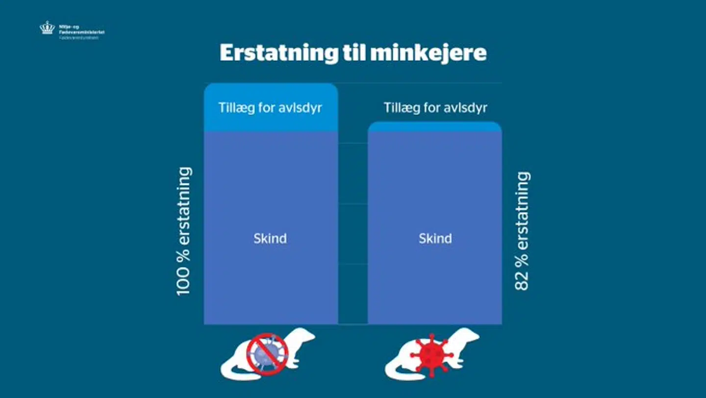 Sådan ser forklaring ud illustreret af Miljø- og Fødevareministeriet.