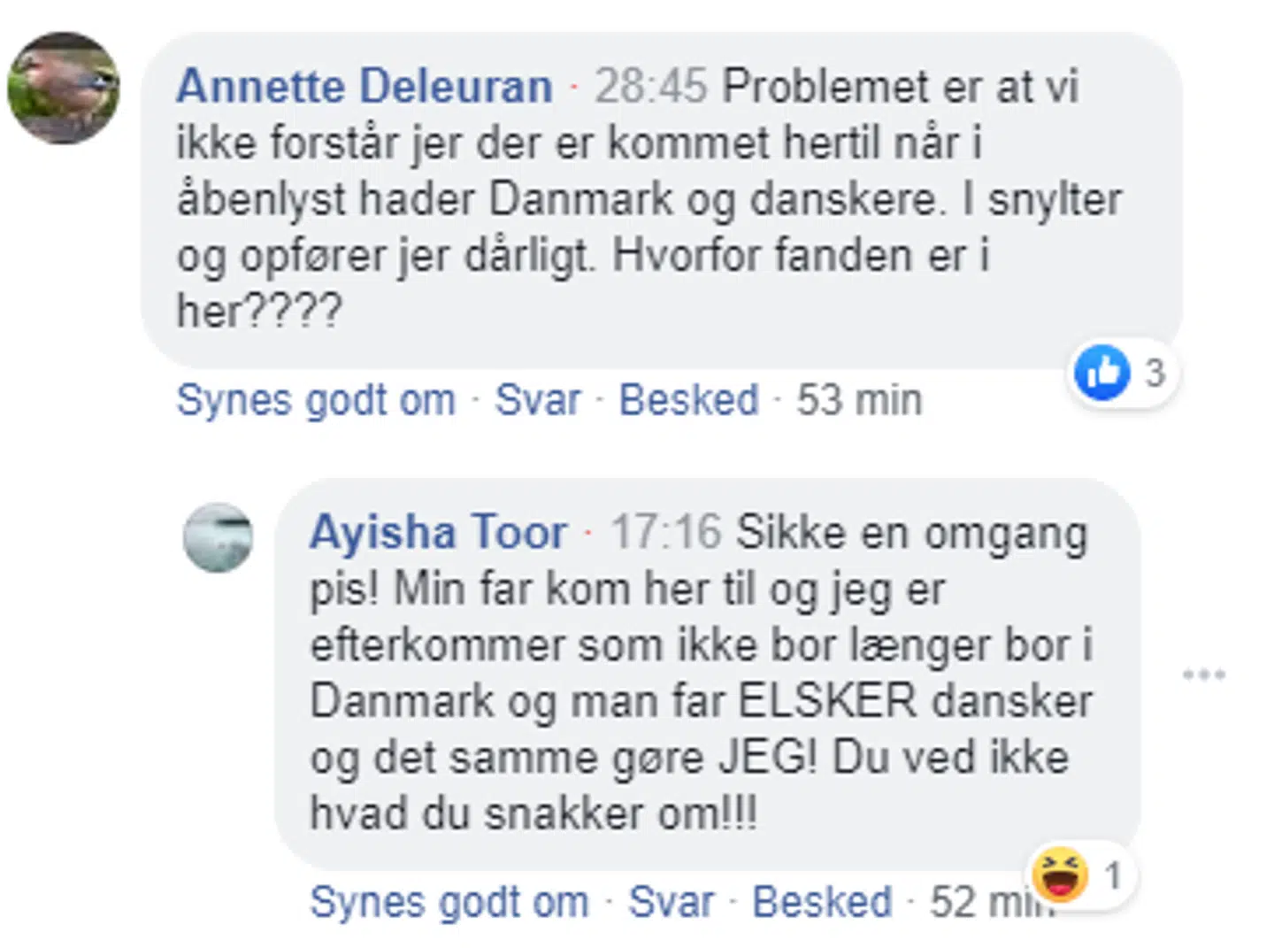 Debatten gik ikke kun voldsomt for sig på tv, men også i kommentarsporet.