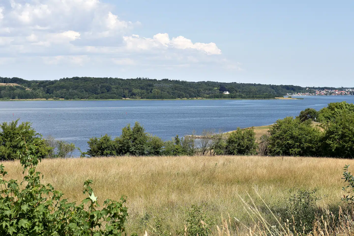 Mariager Fjord er blandt de områder i danske farvande, der er hårdest ramt af iltsvind. (Arkivfoto) Henning Bagger/Ritzau Scanpix