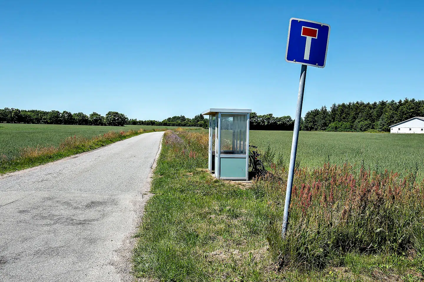 Prisfesten har ikke ramt alle dele af landet. I flere udkantskommuner falder boligpriserne.