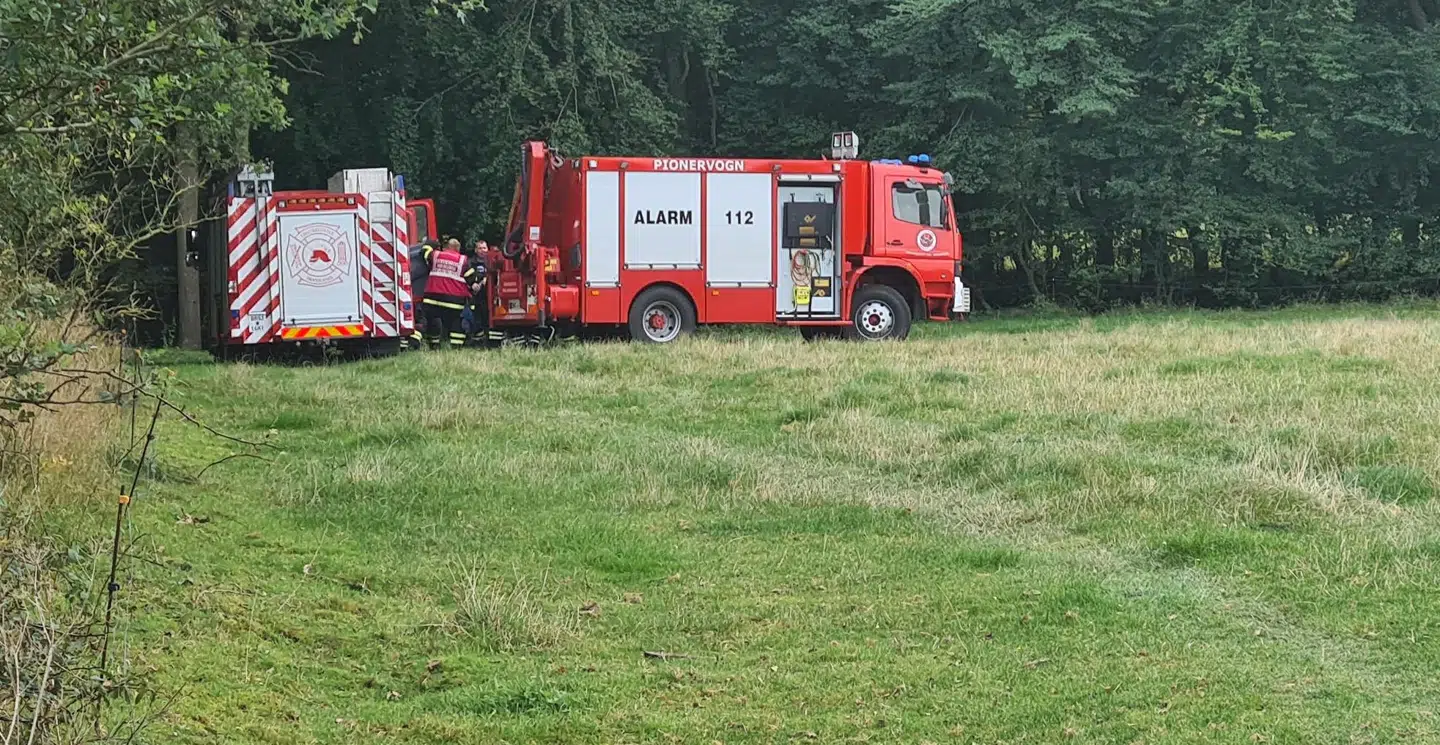Mand klemt ihjel i skov ved Løgumkloster i Sønderjylland.