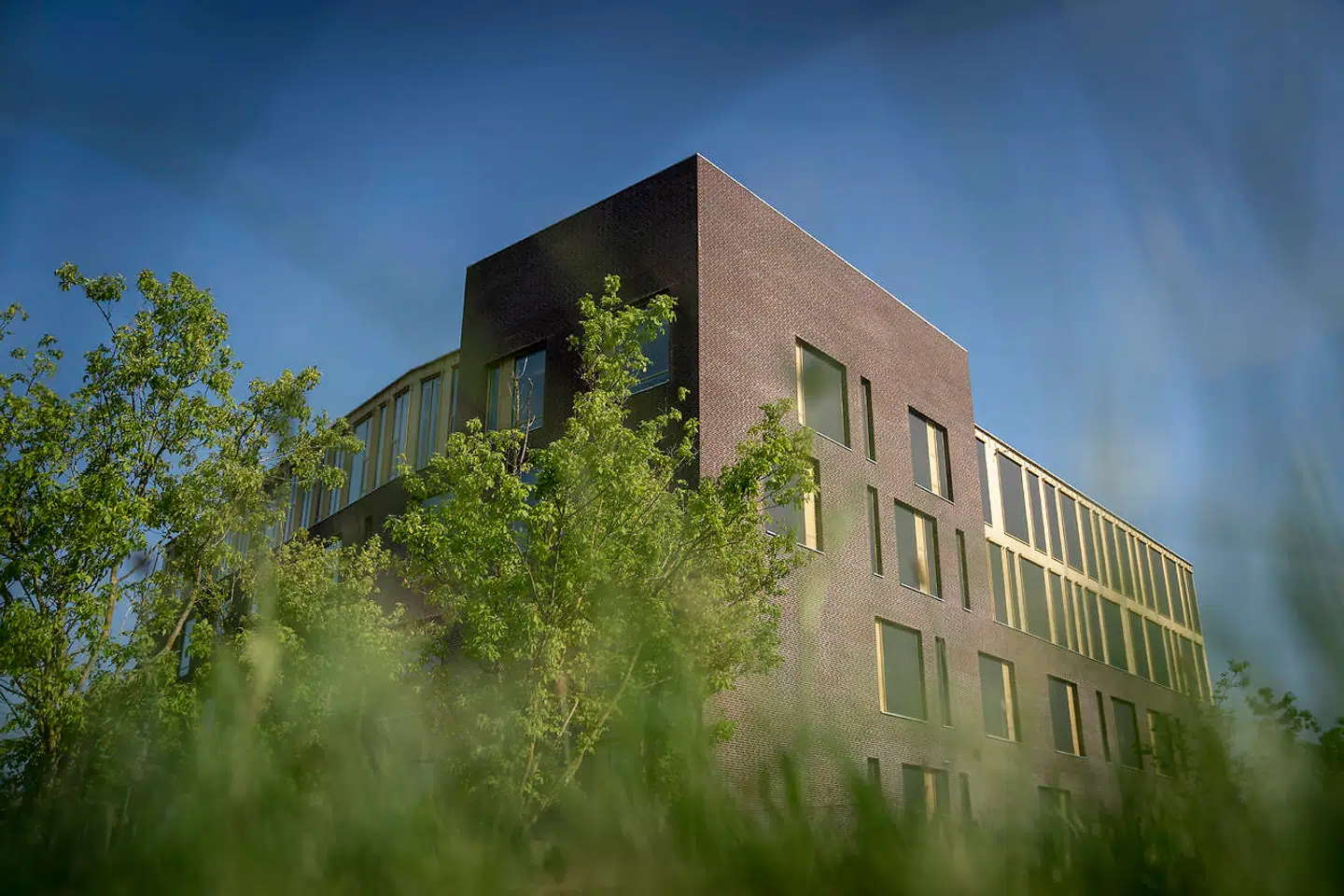 Anklageren vil kræve fængselsstraf til den 50-årige mand, når sagen kommer for Retten i Roskilde senere på måneden.