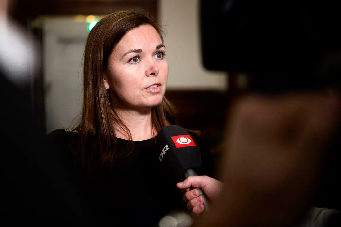 Louise Schack Elholm (V), skatteordfører.