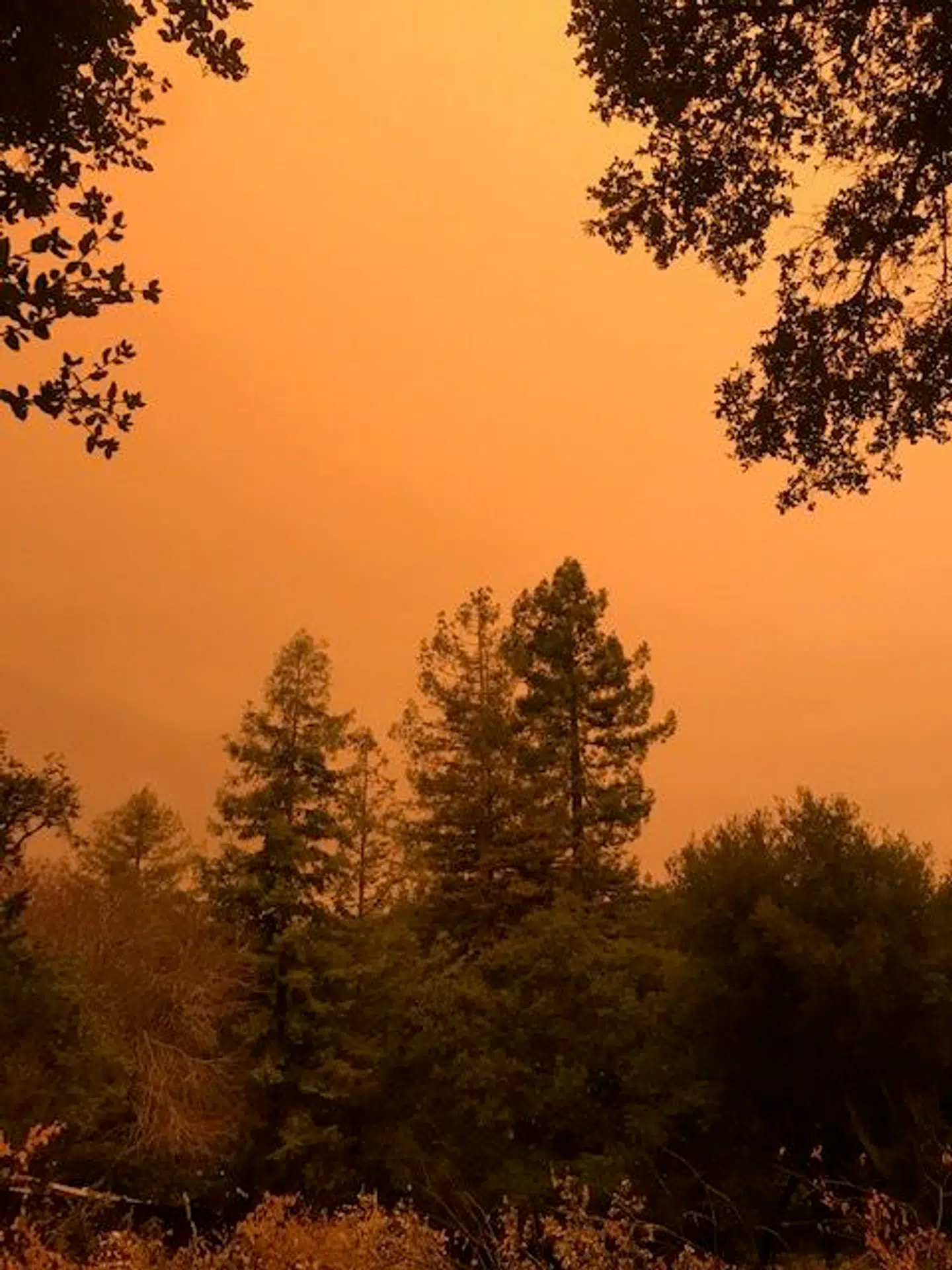 Det var synet af denne himmel, Louise Eschelman og hendes familie vågnede op til.