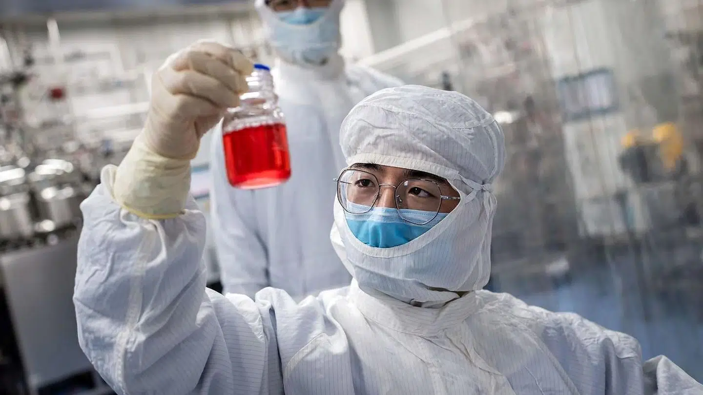 Hele verden er i gang med at opfinde en corona-vaccine. Her ses en ingeniør i Kina i april, mens han ser på, hvordan celler fra abers nyrer reagerer på en forsøgsvaccine.