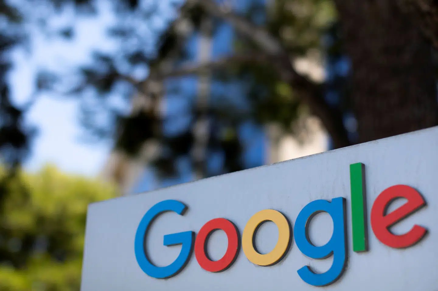 Google har lanceret en målsætning om at være helt CO2-fri i 2030. (Arkivfoto) Mike Blake/Reuters