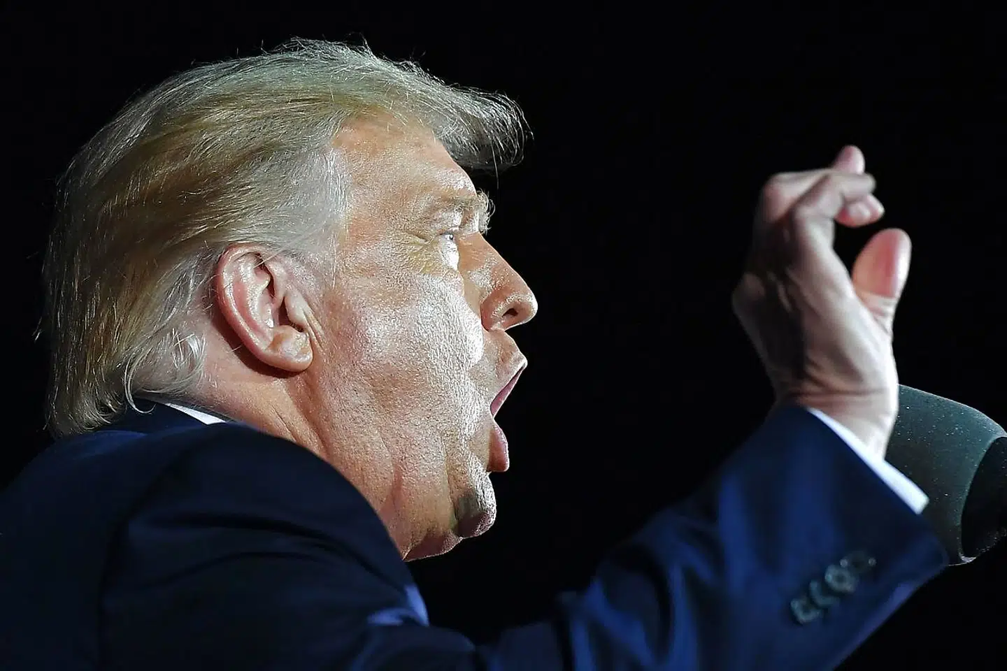 Donald Trump i Freeland, Michigan. Præsidenten talte i godt 75 minutter.