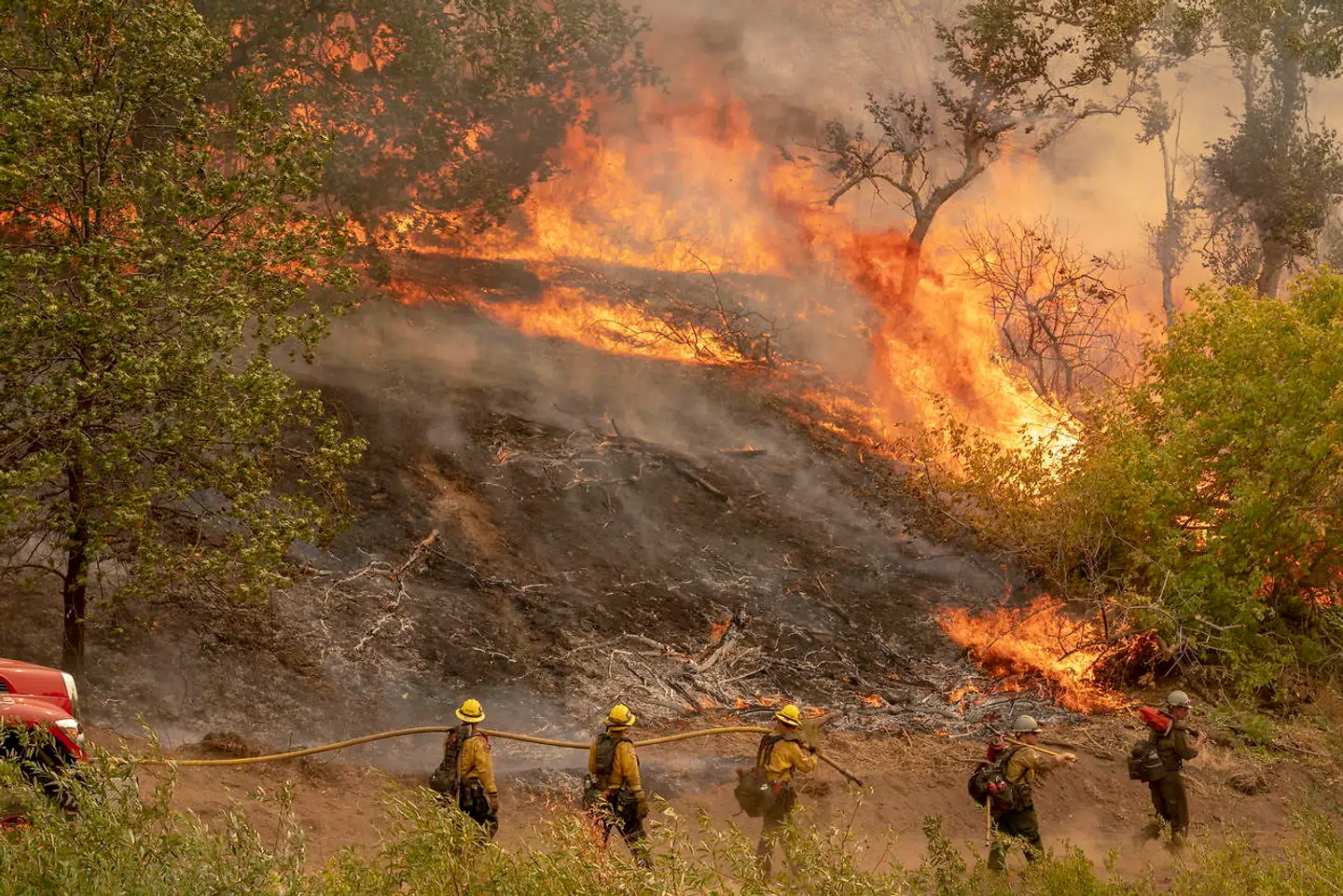 Søndag havde ilden godt fat i en bjergside i San Bernardino National Park i USA. EPA/KYLE GRILLOT