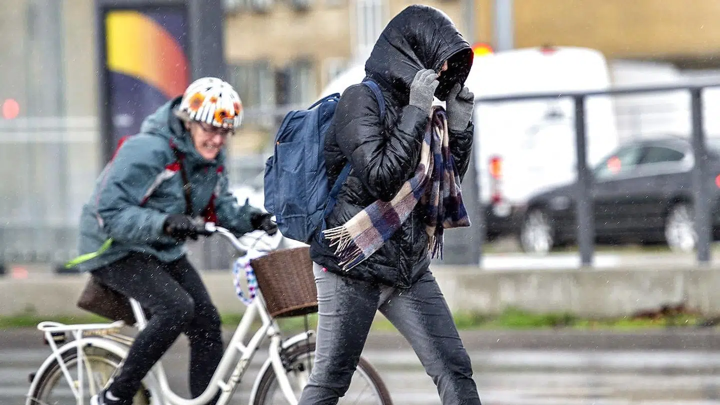 Denne uge byder på masser af blæst, regn og byger. (Arkivfoto)