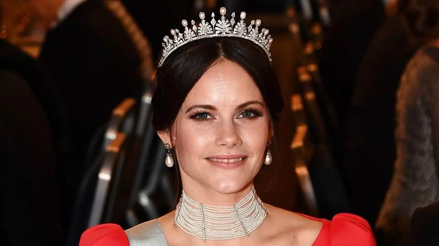 Prinsesse Sofia, hvis borgerlige navn er Sofia Kristina Hellqvist, beskæftiger sig især med velgørende formål.