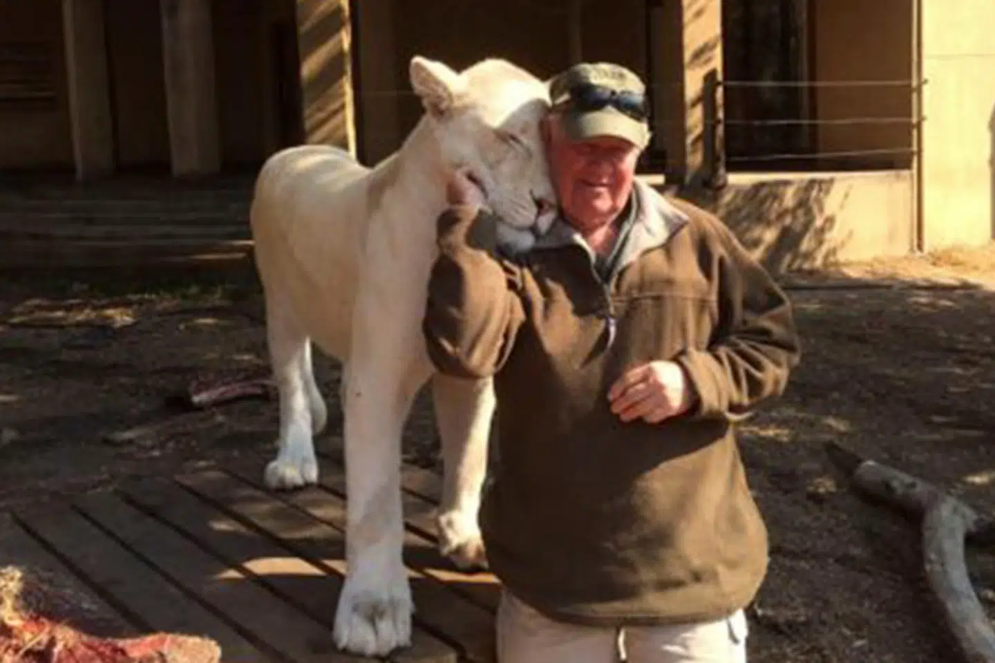 West Mathewson poserer med en af sine løver.