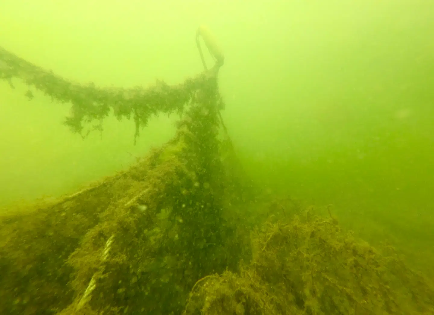 Spøgelsesnet i Limfjorden.