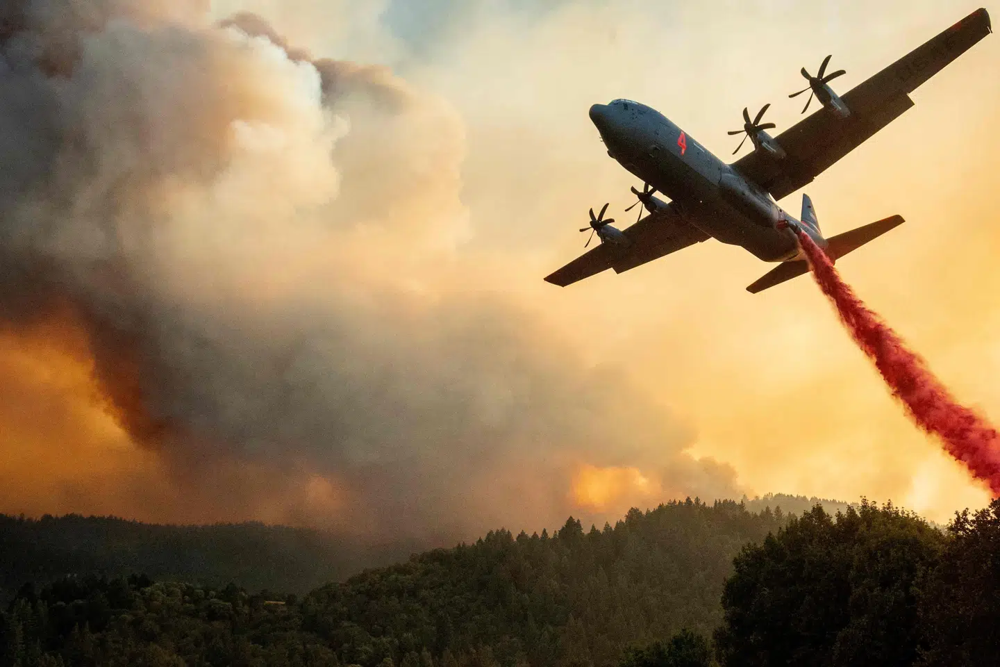 Over 12.000 brandfolk kæmper mod flammerne i hundredvis af naturbrande i Californien. Brandene har nu har spredt sig over et samlet areal på over 312.000 hektar. Josh Edelson/Ritzau Scanpix