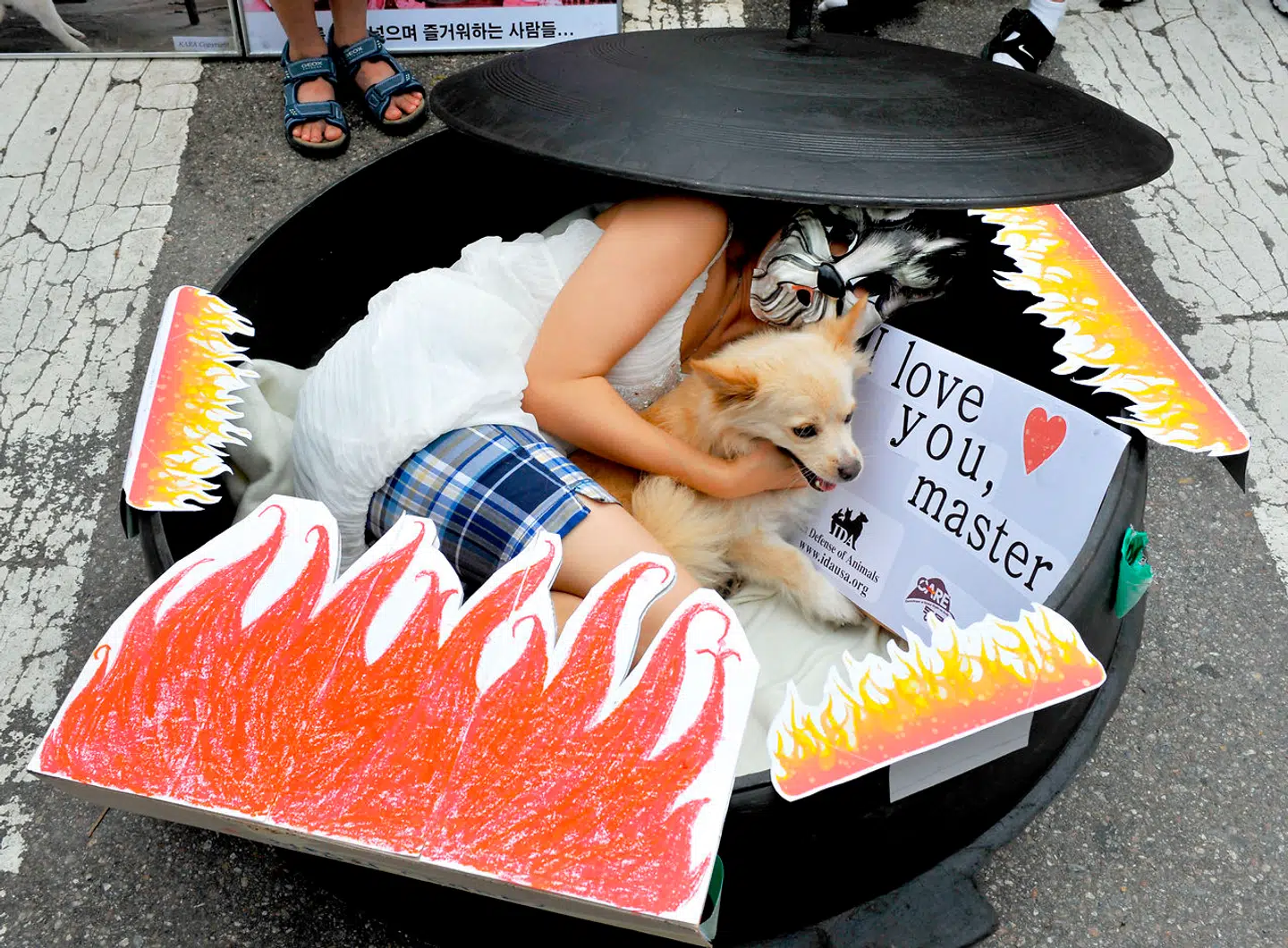 I Sydkorea bliver der protesteret mod at spise hundekkød.