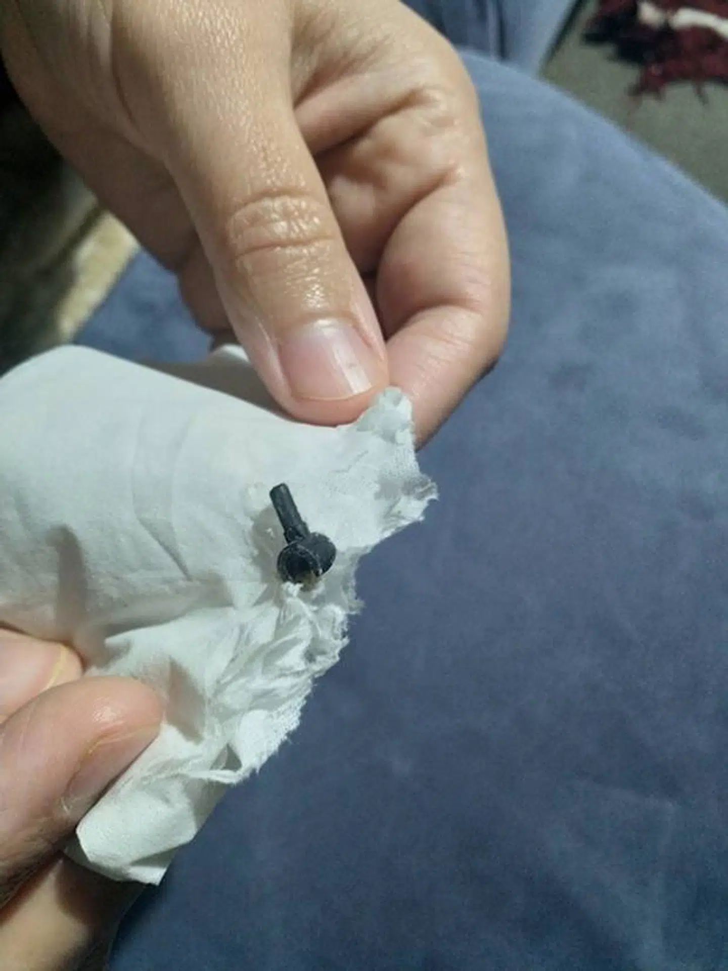 Det var denne lille Lego-dims, en lille dreng fra New Zealand gik rundt med i næsen i to år.