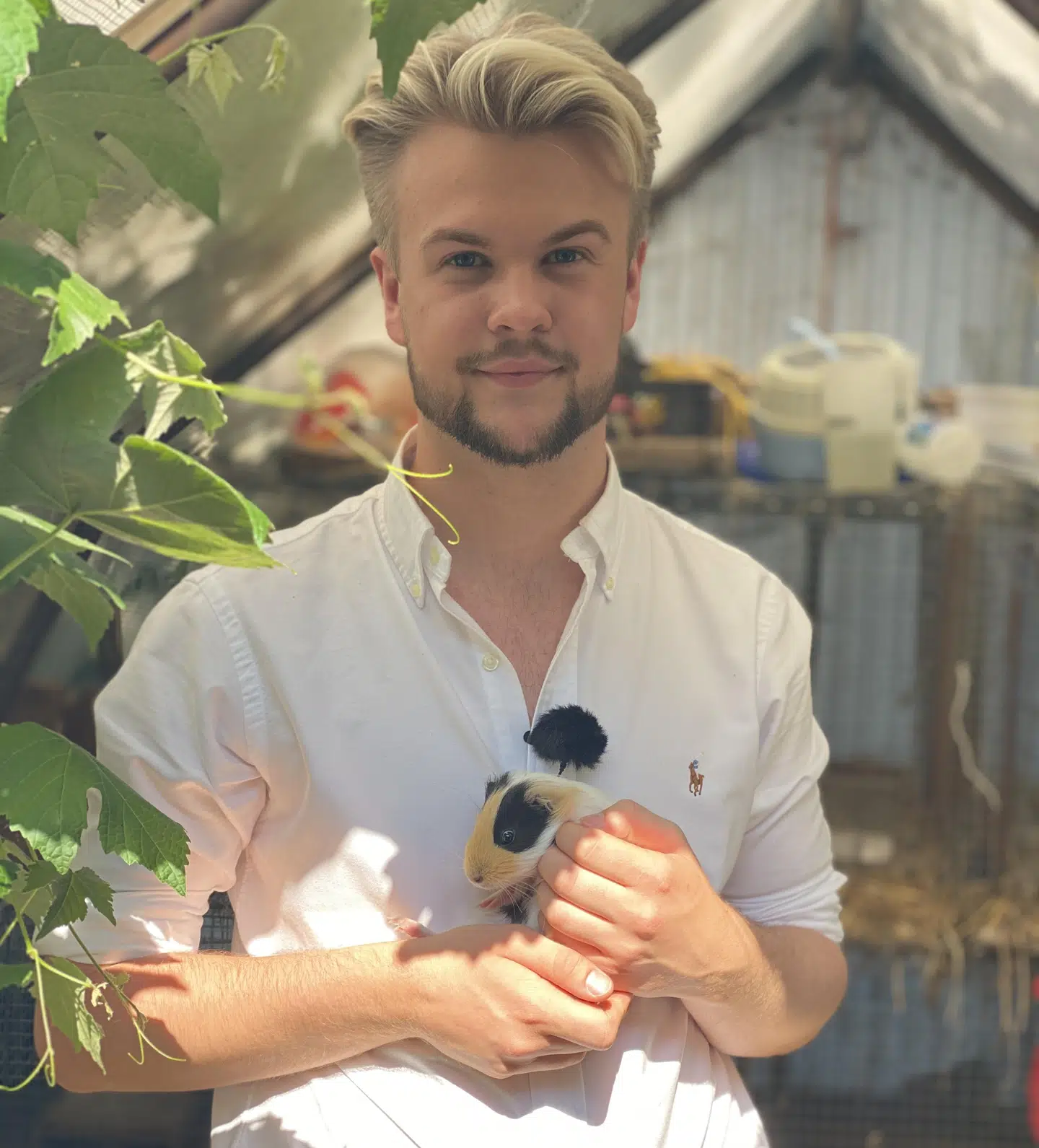 Andreas har marsvin, høns, ænder, katte, mus, en hund, papegøje og kanin.