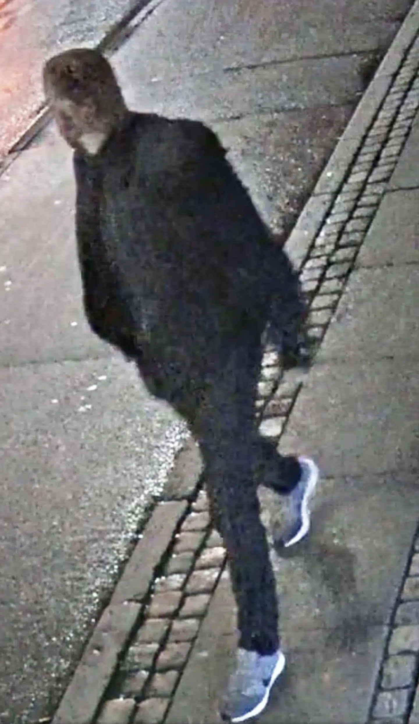 Manden, som politiet nu efterlyser for at have stukket Martin Højlund ned på Nøreebrogade den 16. februar 2020.