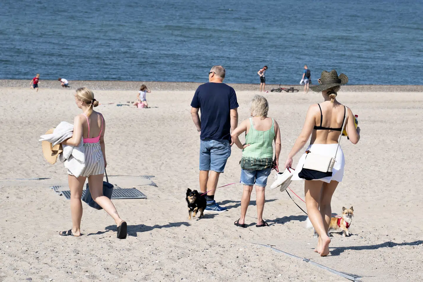 Havtemperaturen omkring Danmark ligger for tiden på mellem 19 og 23 grader, så der skulle være rig mulighed for at hoppe en tur i bølgen. (Arkivfoto) Henning Bagger/Ritzau Scanpix