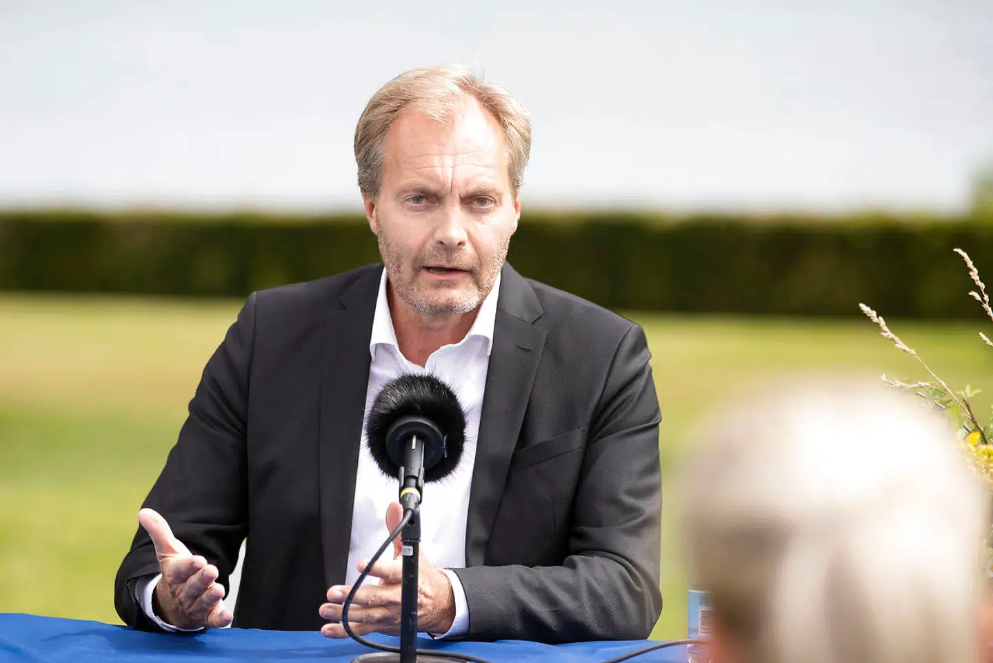 Peter Skaarup, gruppeformand i DF.