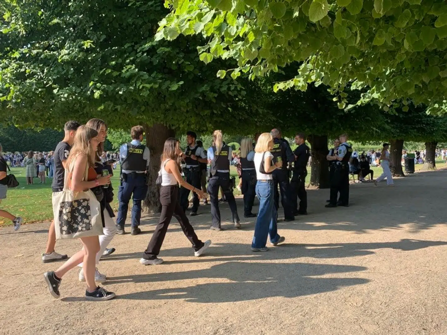 Betjente til stede i Kongens Have onsdag eftermiddag