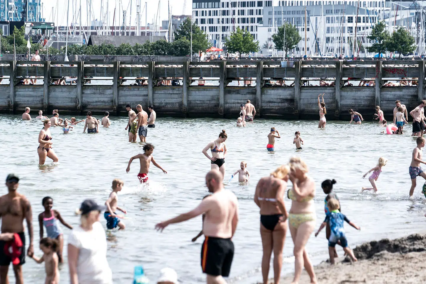 Badegæster nyder sommeren i Svanemøllen Strandpark i København, søndag den 19. juli 2020. Torsdag vælter en hedebølge ind over landet.