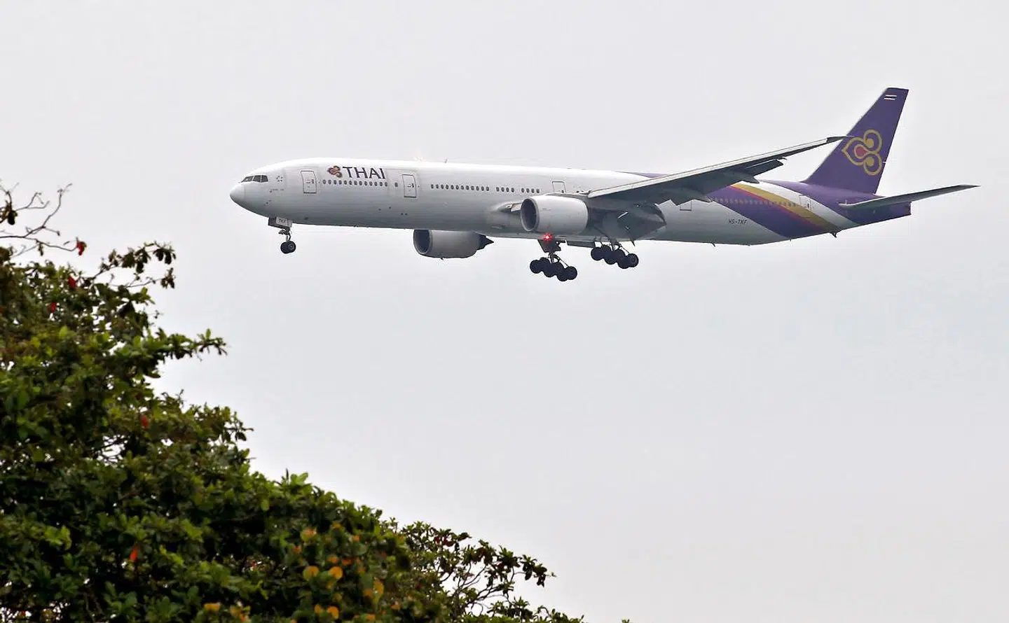 Flybillet har henvist John og Jane til Thai Airways.