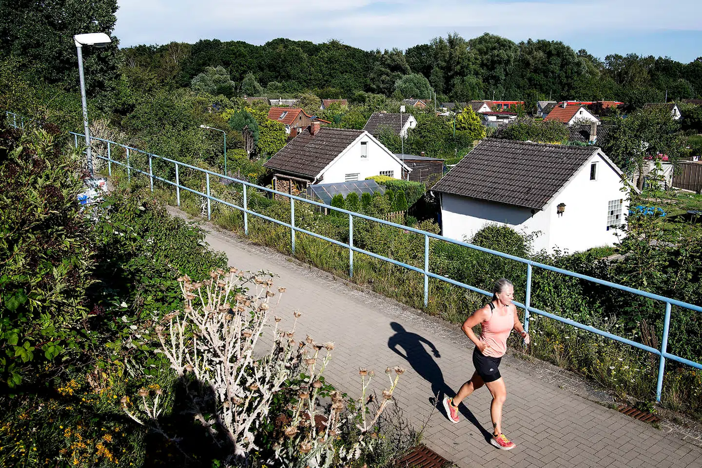 Den hyggelige kolonihaveforening langs motorvejen oplevede torsdag, at den fredelige stilhed blev brudt, da verdenspressen samlede sig om et af foreningens huse.