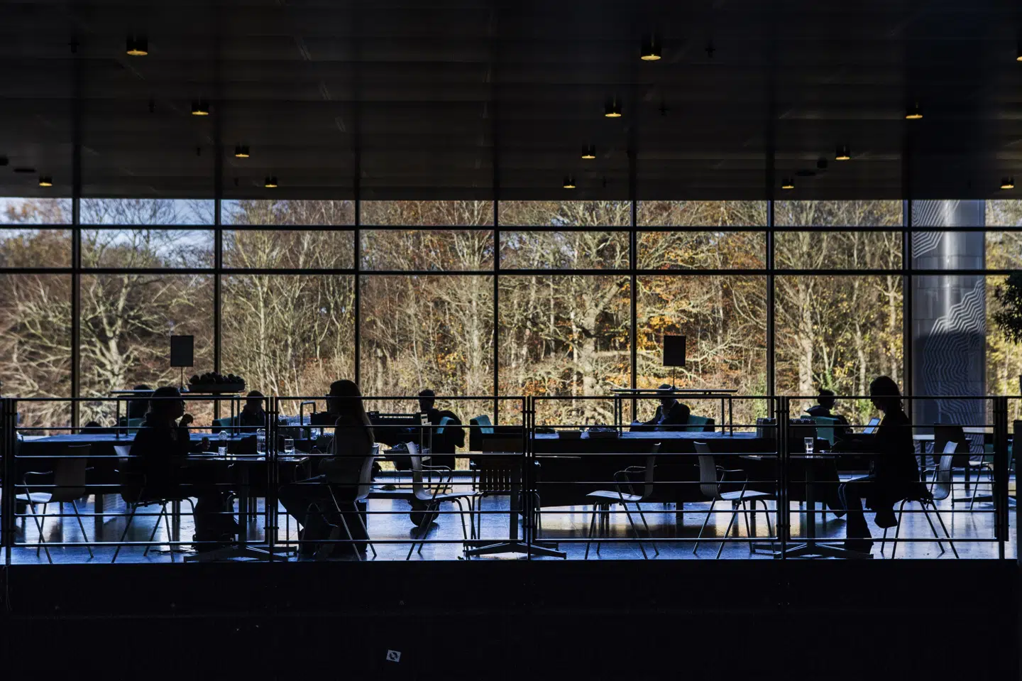 Frygten for coronasmitte betyder, at årets nye studerende kan se frem til en noget anderledes studiestart. (Arkivfoto) Simon Læssøe/Ritzau Scanpix