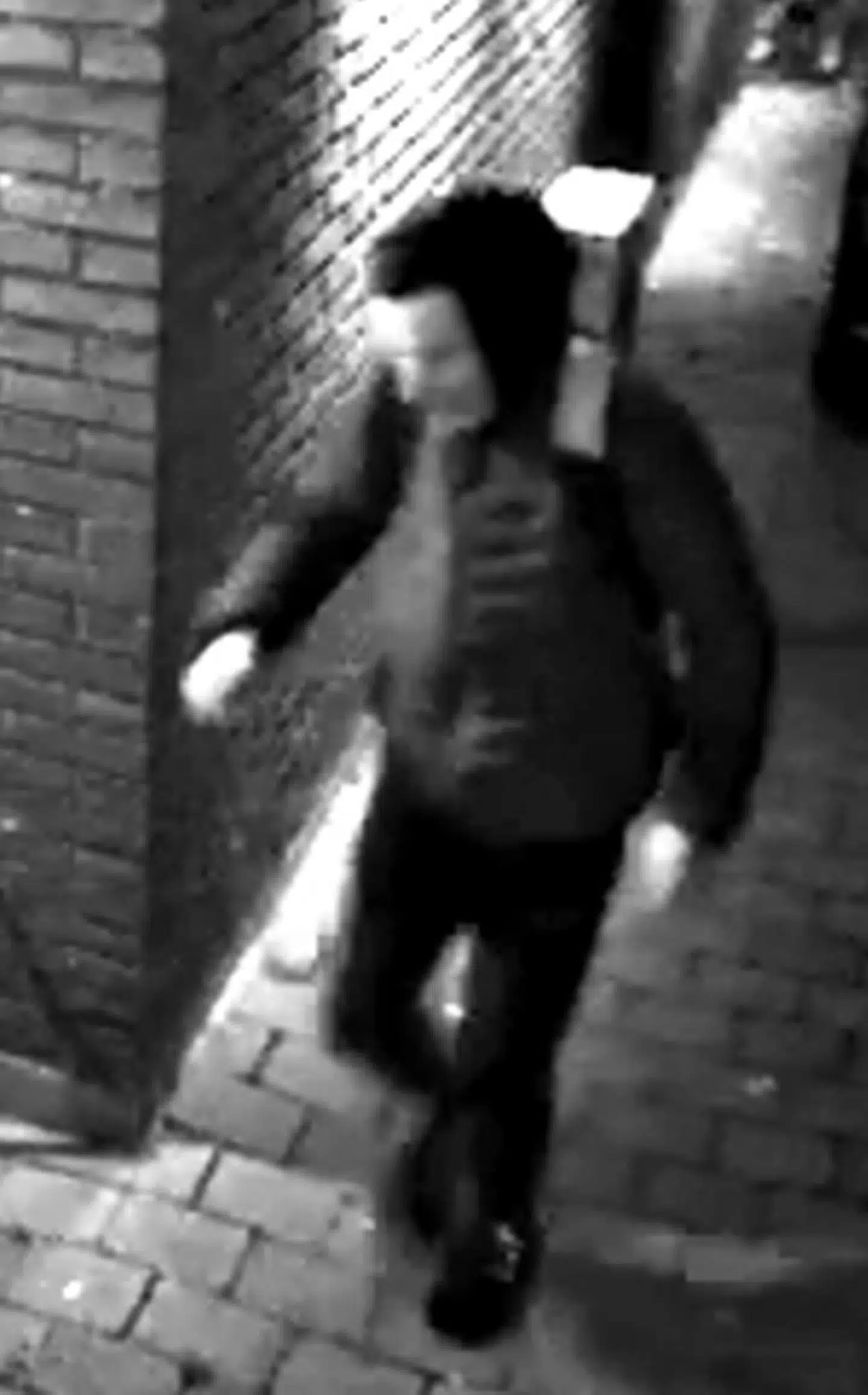 Fra indbruddet på Sædemarksvej i Brøndby.