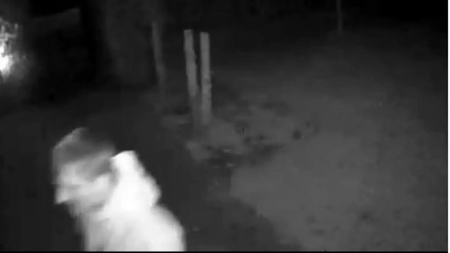 Fra indbruddet på Grønbækvej i Hvidovre.