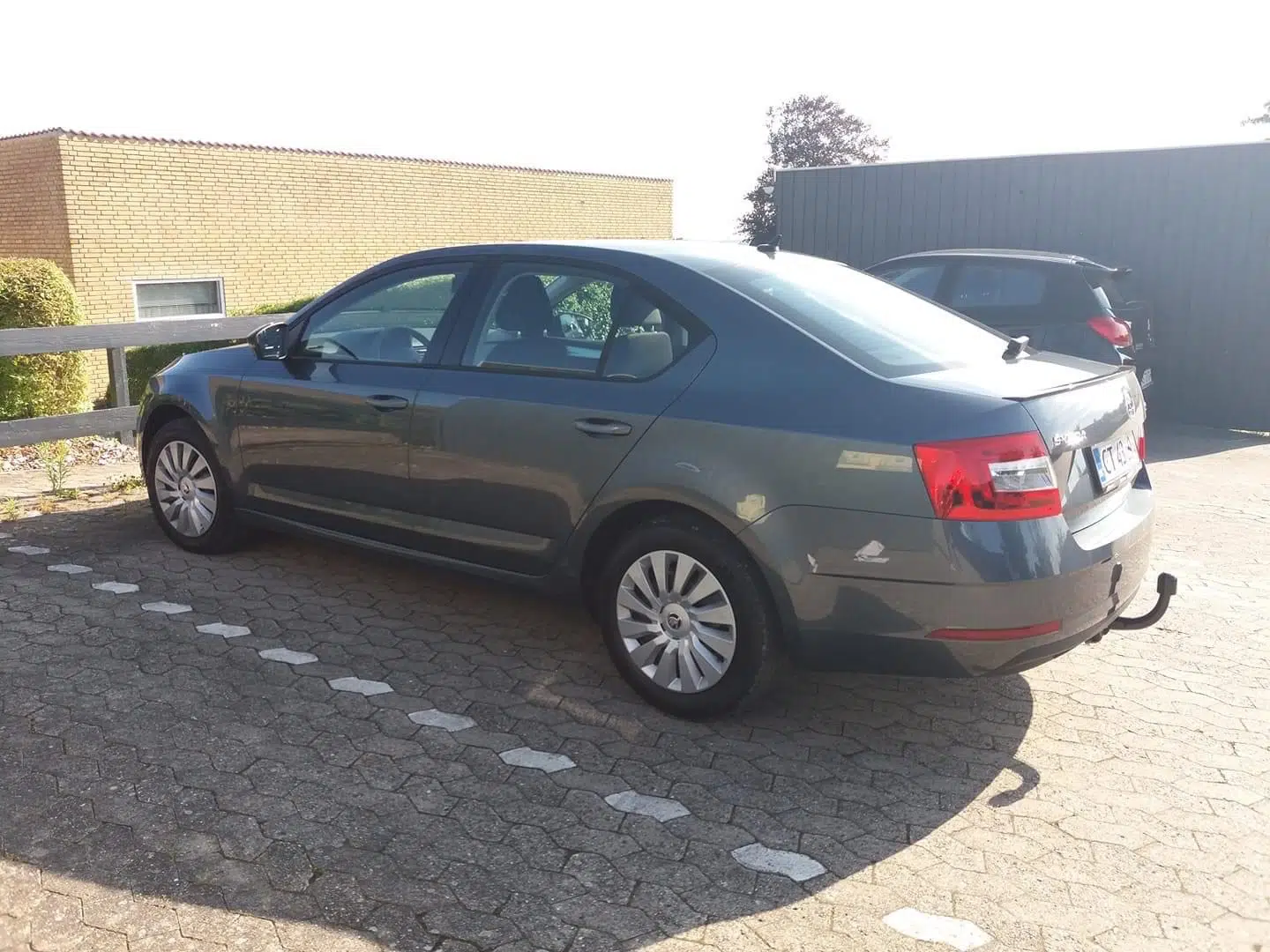 Gitte Holm Hjarsen er bekymret for, at den nye Skoda Octavia har taget skade af benzinen med en for høj andel ethanol.