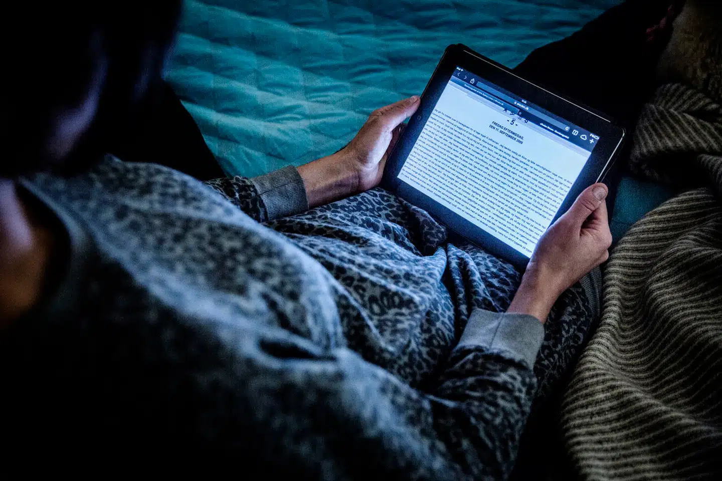 (ARKIV) E-bog læsning på Ipad. Stærke koder, løbende opdatering og segmenterede netværk er nøgleord, hvis du vil undgå, at it-kriminelle kigger dig over skulderen. (Foto: Thomas Lekfeldt/Ritzau Scanpix)