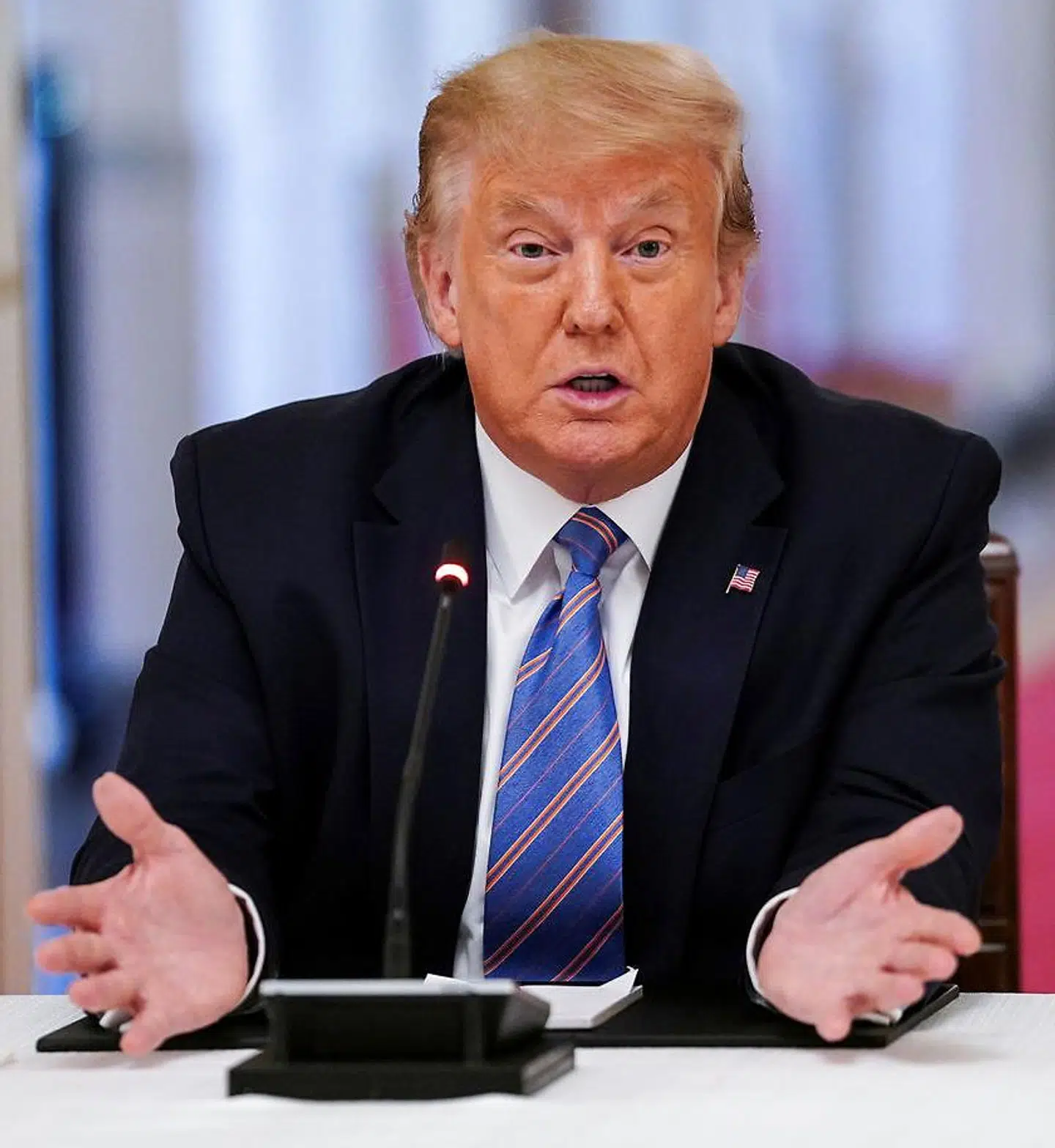 Donald Trump har flere gange forsøgt at stoppe niecens bog.
