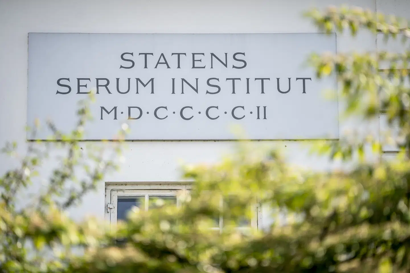 Det har kostet et tocifret millionbeløb at undersøge Mads Melbye, der er tidligere direktør for Statens Serum Institut. (Arkivfoto) Mads Claus Rasmussen/Ritzau Scanpix