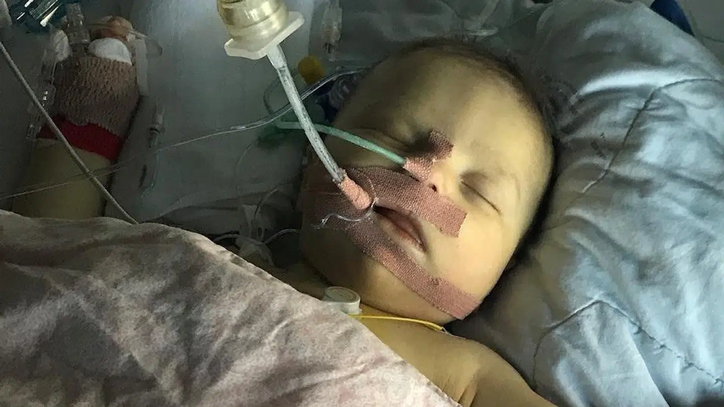 Før transplantationen blev Cleo opereret for at se, om man kunne etablere et galdeafløb fra lever til tarm. Men operationen var ikke nok til at redde Cleos lever, og derfor skulle hun transplanteres. Foto: Privat.