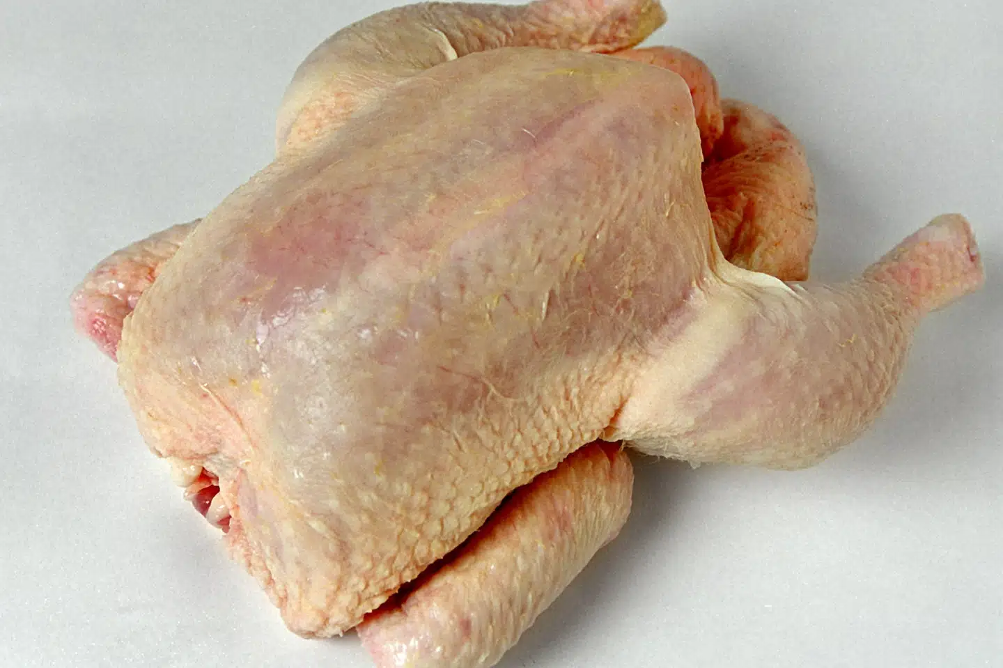 Fremover skal alle Aldis kyllinger være opvokset langsomt. (Arkivfoto) Kjersti Hjelmen/Ritzau Scanpix