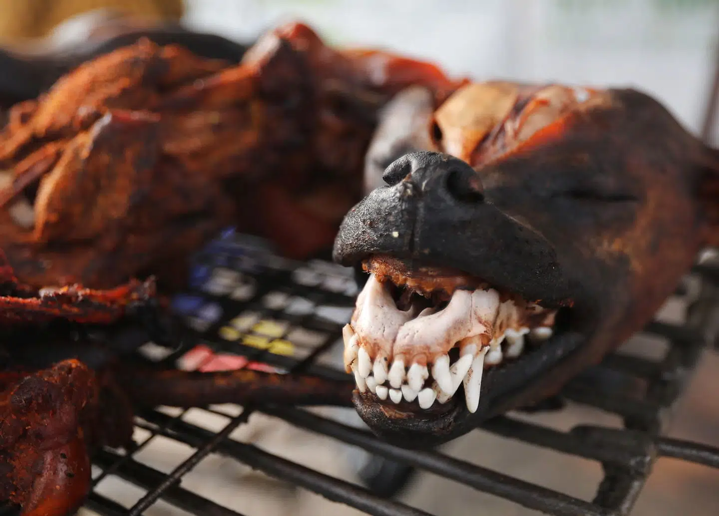 En grillet hund på risten i Phnom Penh, Cambodias hovedstad.
