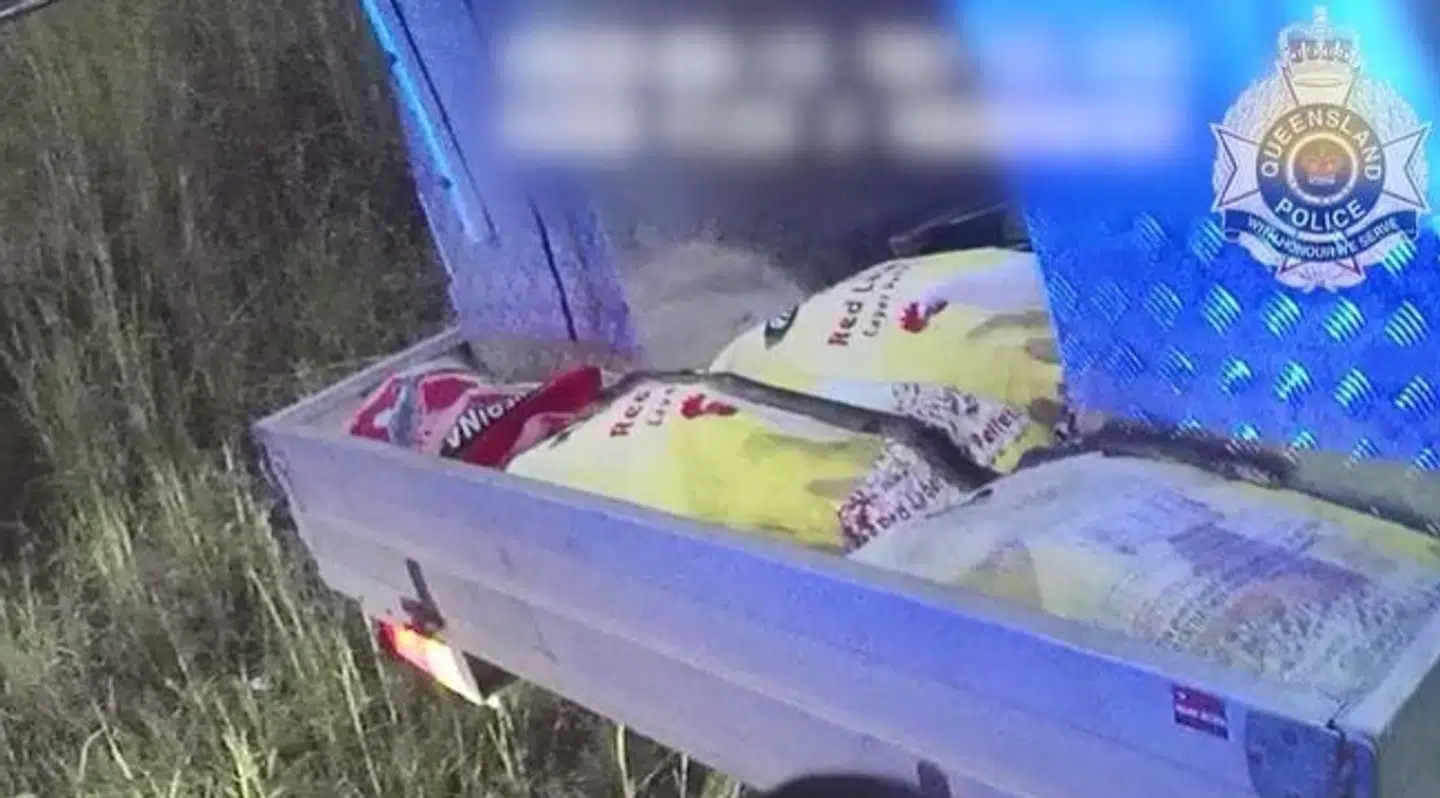 Slangen lå blodigt såret hen over nogle vareprøver bag i bilen.