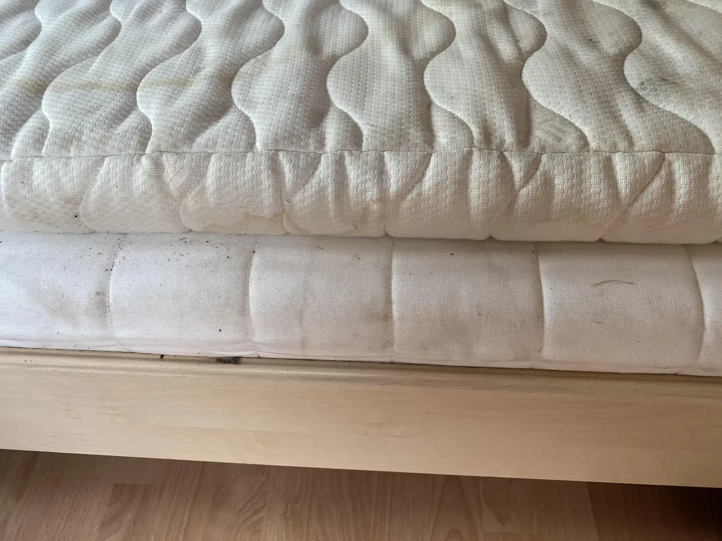 Især sengen i annekset var meget beskidt, og de gæster, der skulle have sovet der, endte med at overnatte i deres bil. Billedet af sengen her.