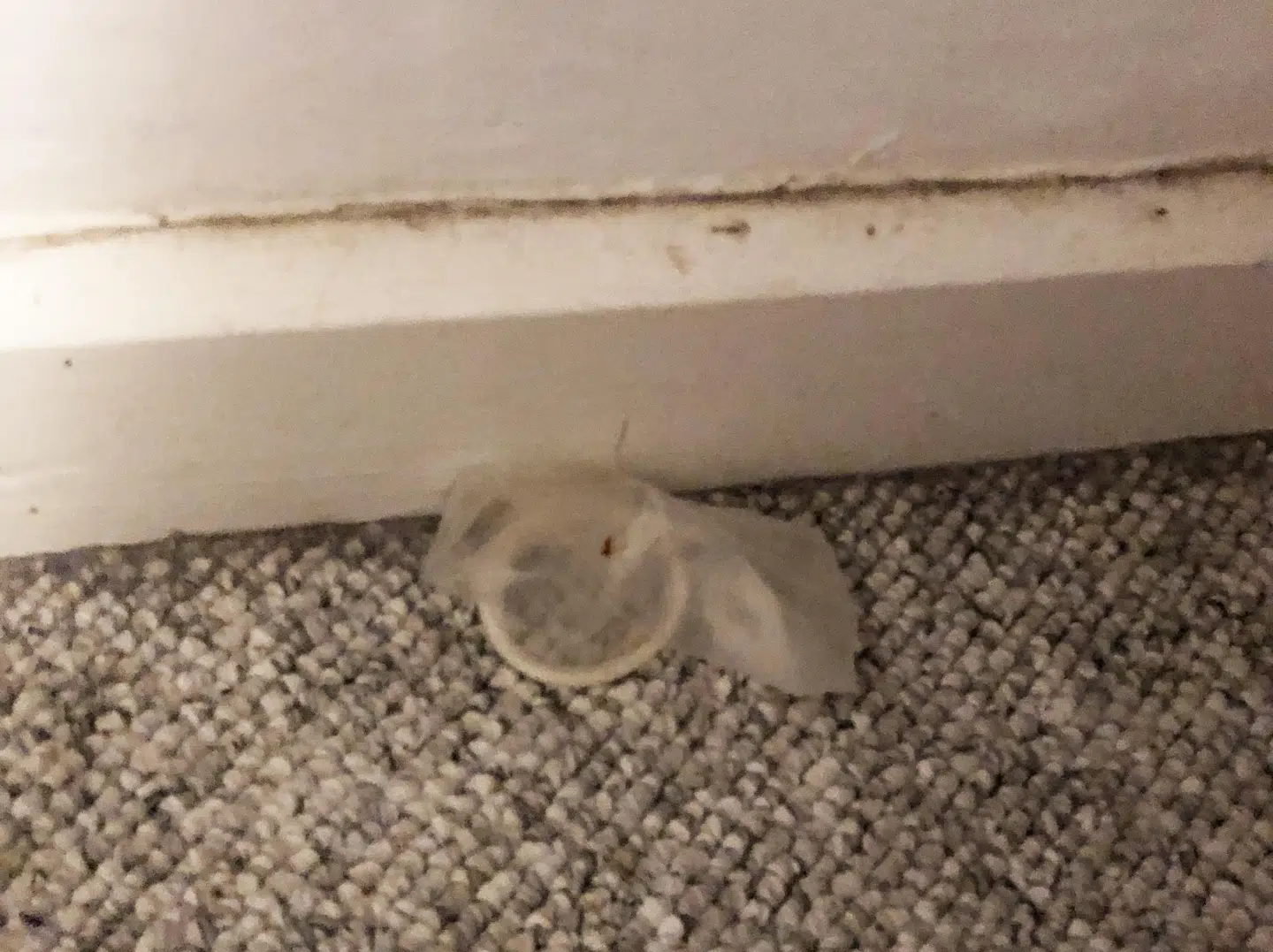 På gulvtæppet fandt man et brugt kondom i et sommerhus i Marielyst.