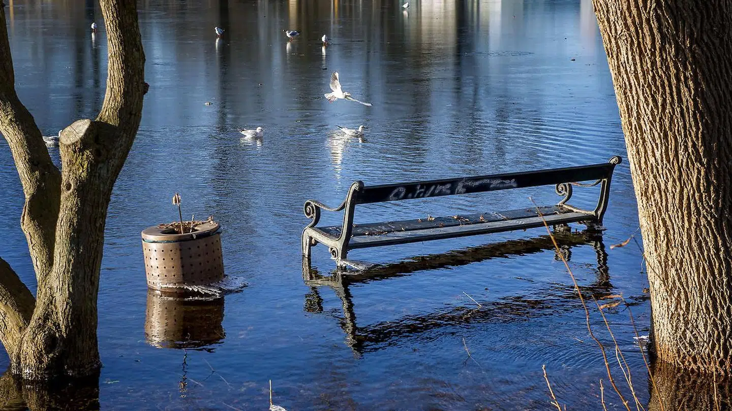 Stormflod og oversvømmelser er ikke noget ukendt fænomen i Danmark. Sådan så det ud i Hvidovre for et par år siden, da et dige blev brudt og vandet væltede ind over et beboelsesområde. (Arkivfoto)