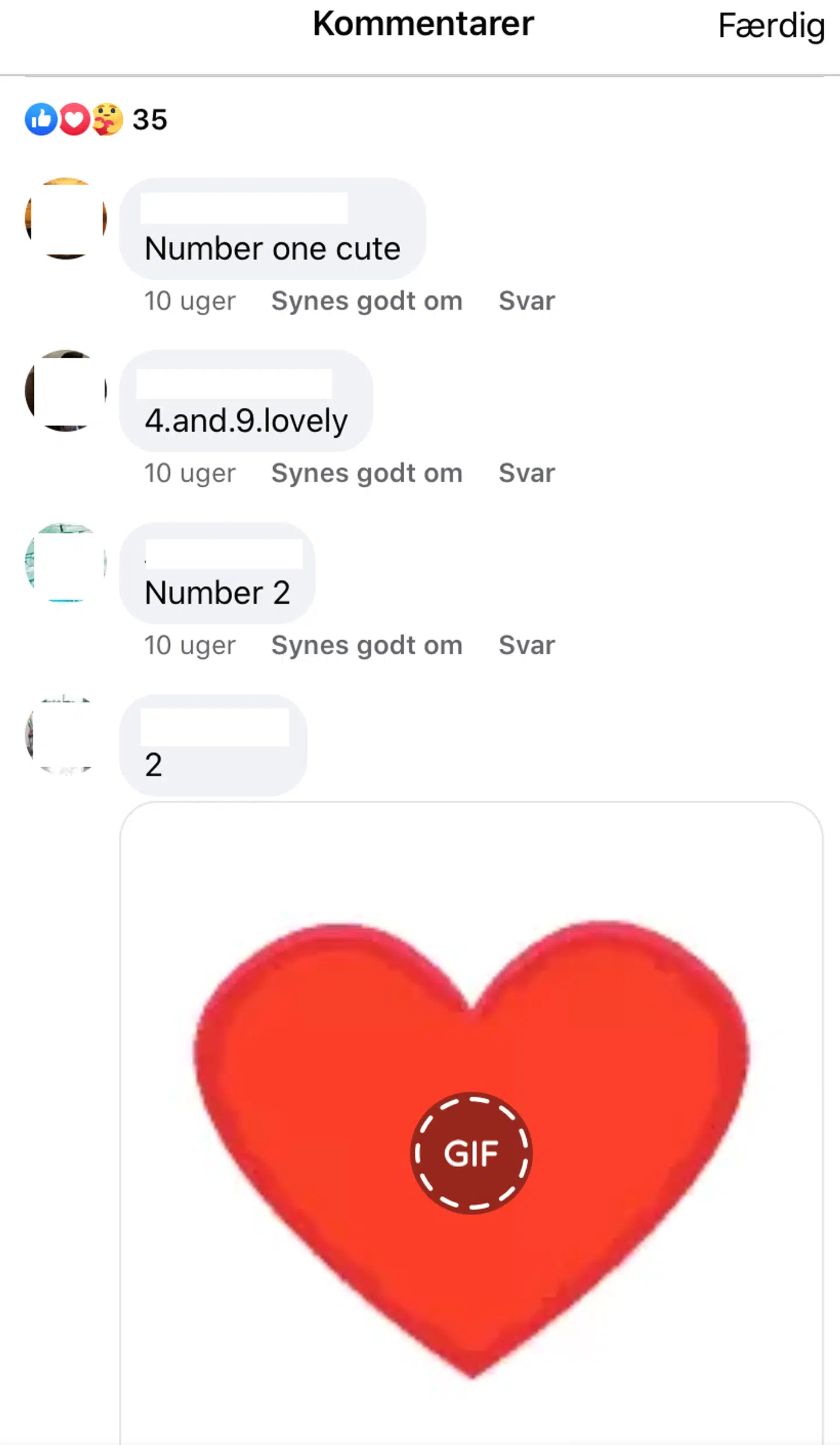 Et udsnit fra et af kommentarfelterne, hvor mændene skal bedømme, hvilket foto de bedst kan lide