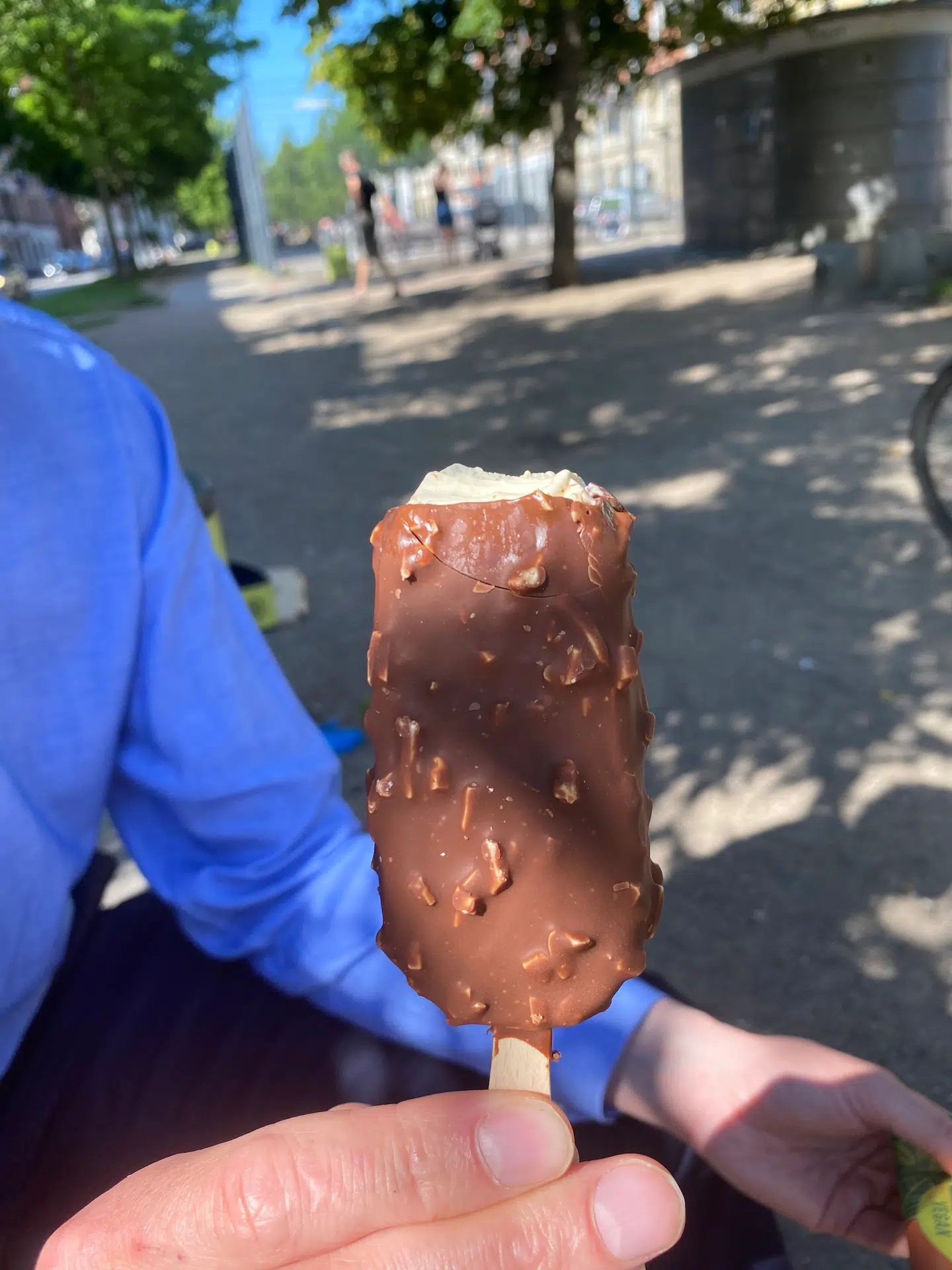 Magnum Vegan