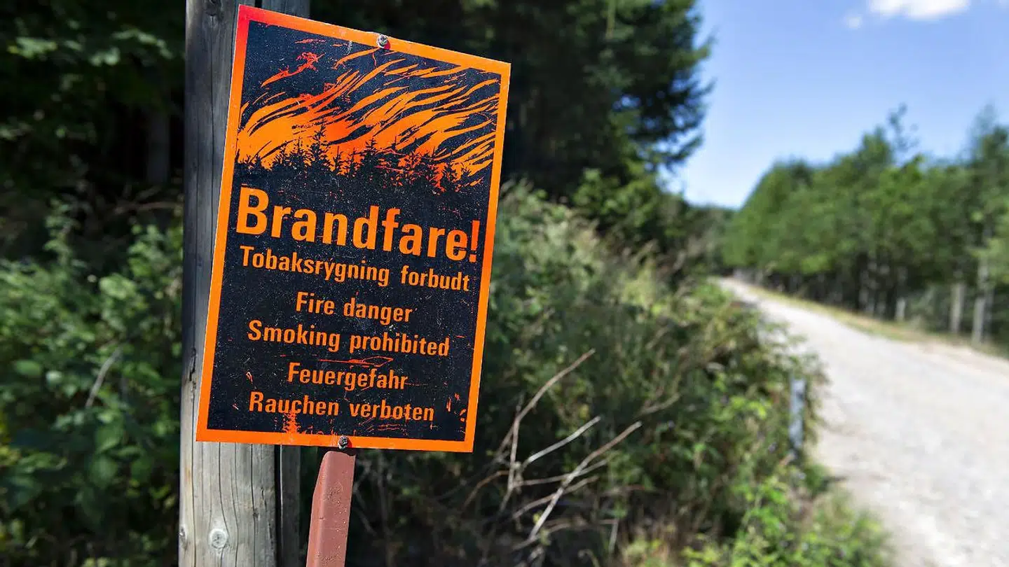 Arkivfoto. I 2018 var der i juli måned opsat skilte med advarsler om brandfare op ved alle indgangsvej i Rold Skov. Dette foto er fra torsdag 12. juli 2018.