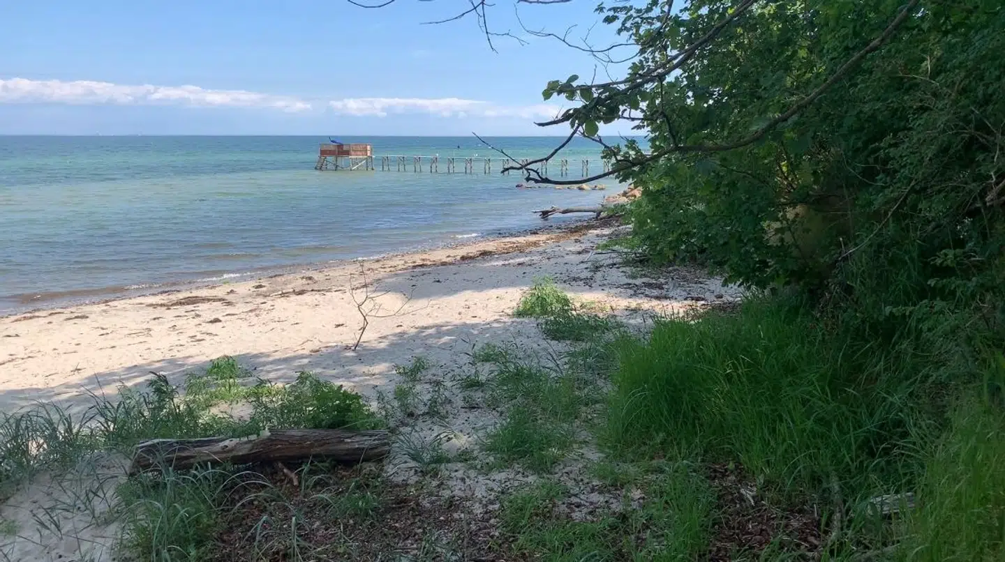 Stranden ser meget indbydende ud, men vandet er forurenet med tarmbakterier.