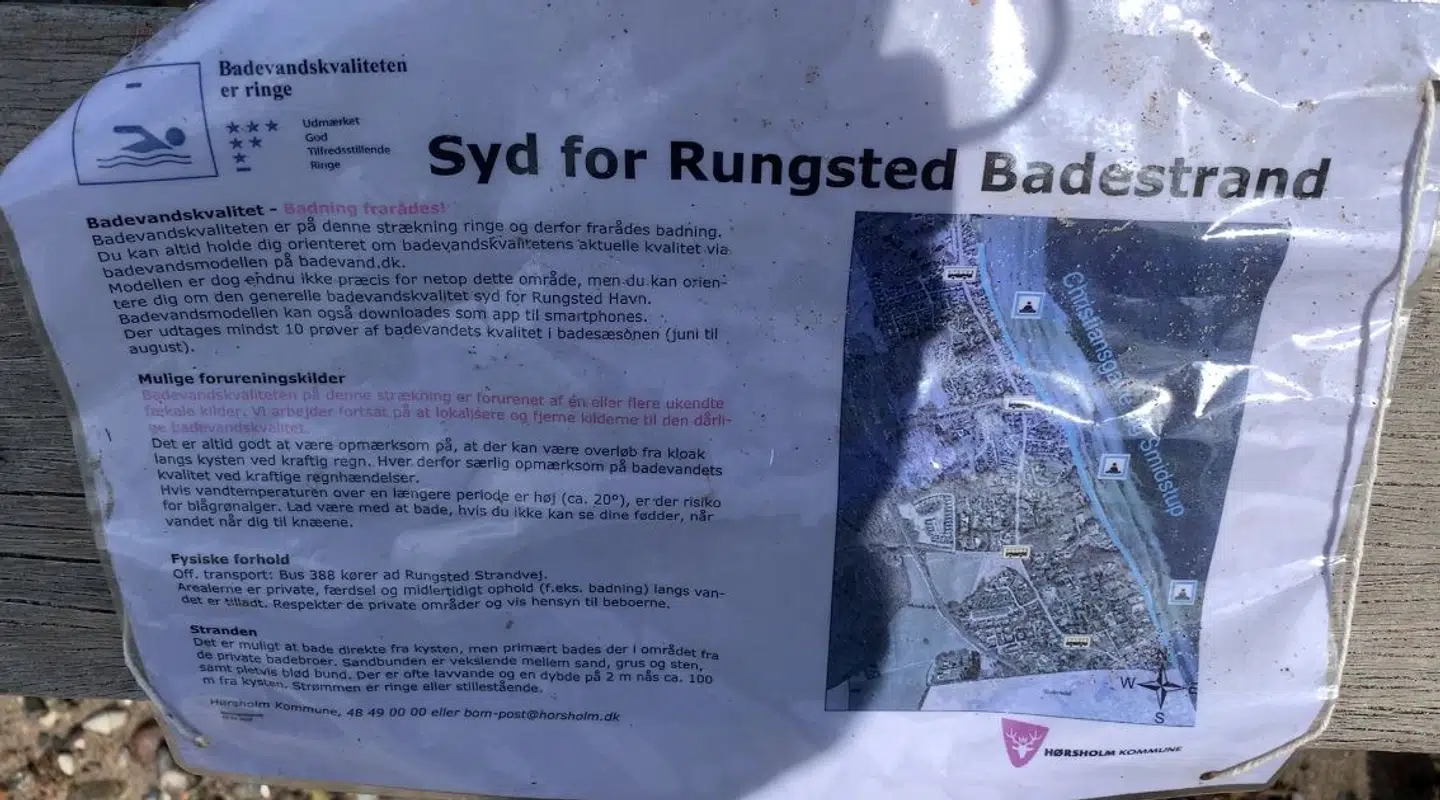 Hørsholm Kommune skilter på badebroerne med, at badning frarådes på grund af tarmbakterier i vandet.