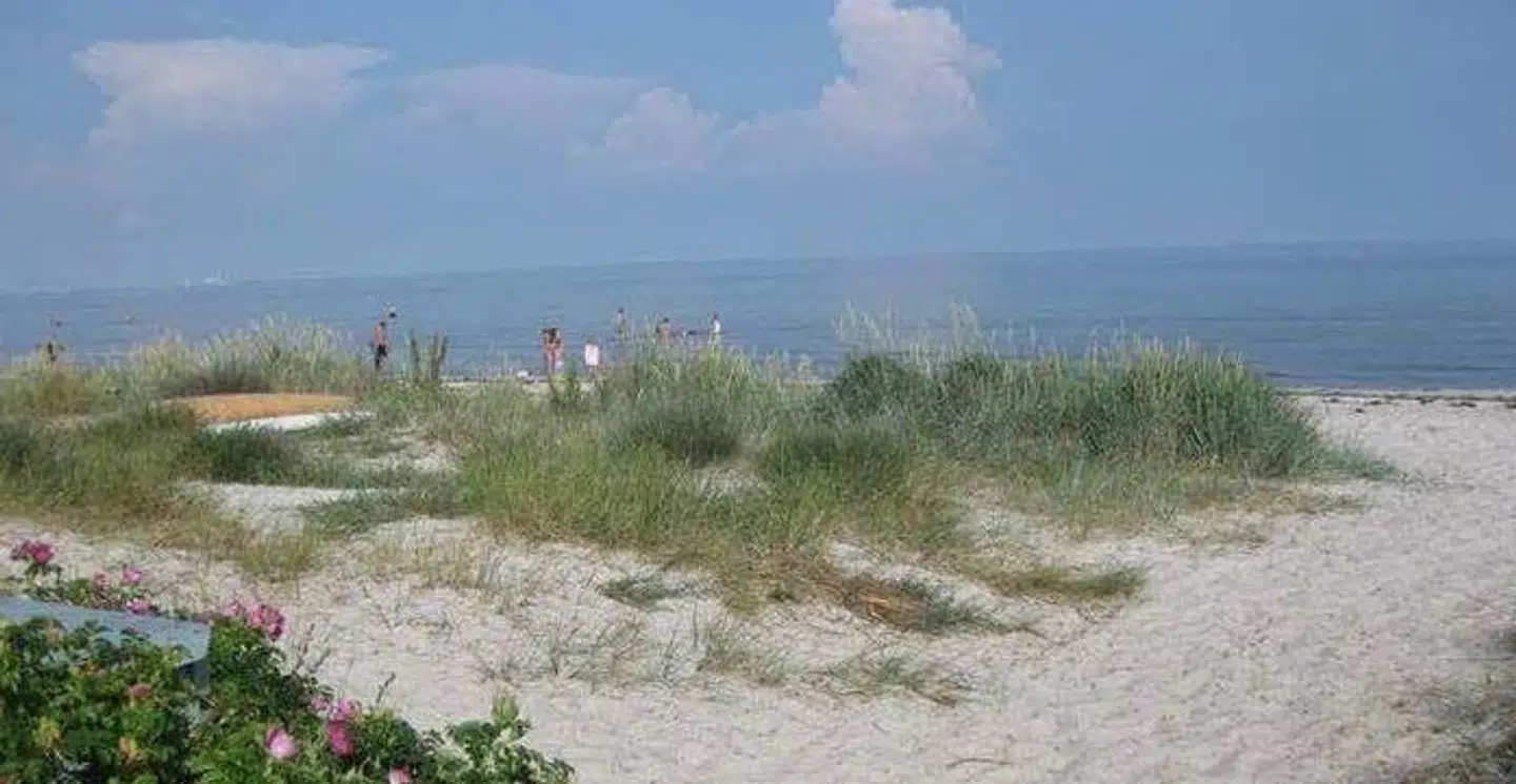 Stranden ved Ellinge Lyng i Odsherred et kvarters gang fra Ole Irgens sommerhus.