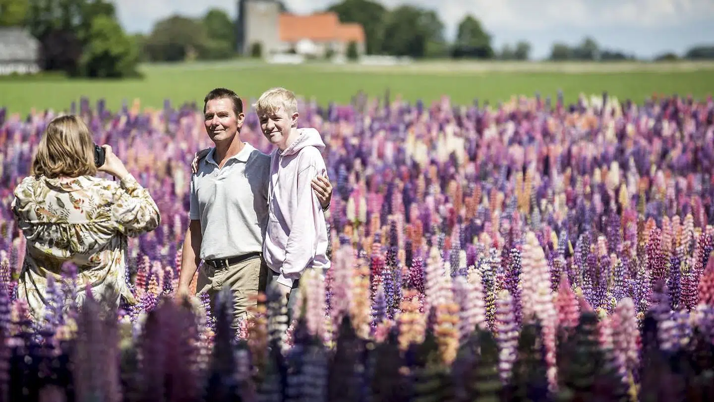 Mange danskere kommer forbi marken for at få taget et billede.